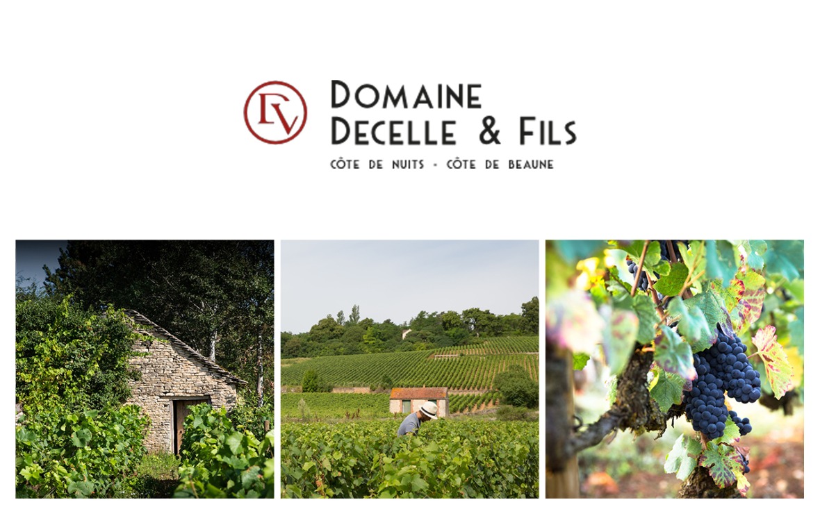 111. Domaine Decelle et Fils.jpg