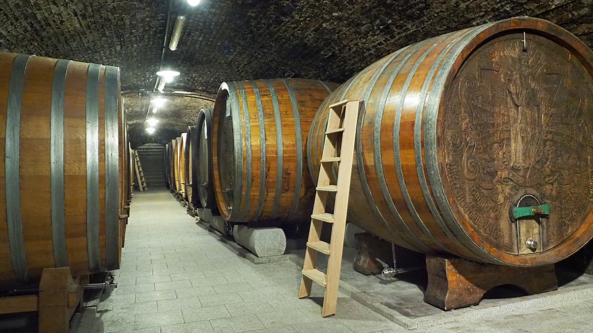 Weingut-Knoll-cellar.jpg