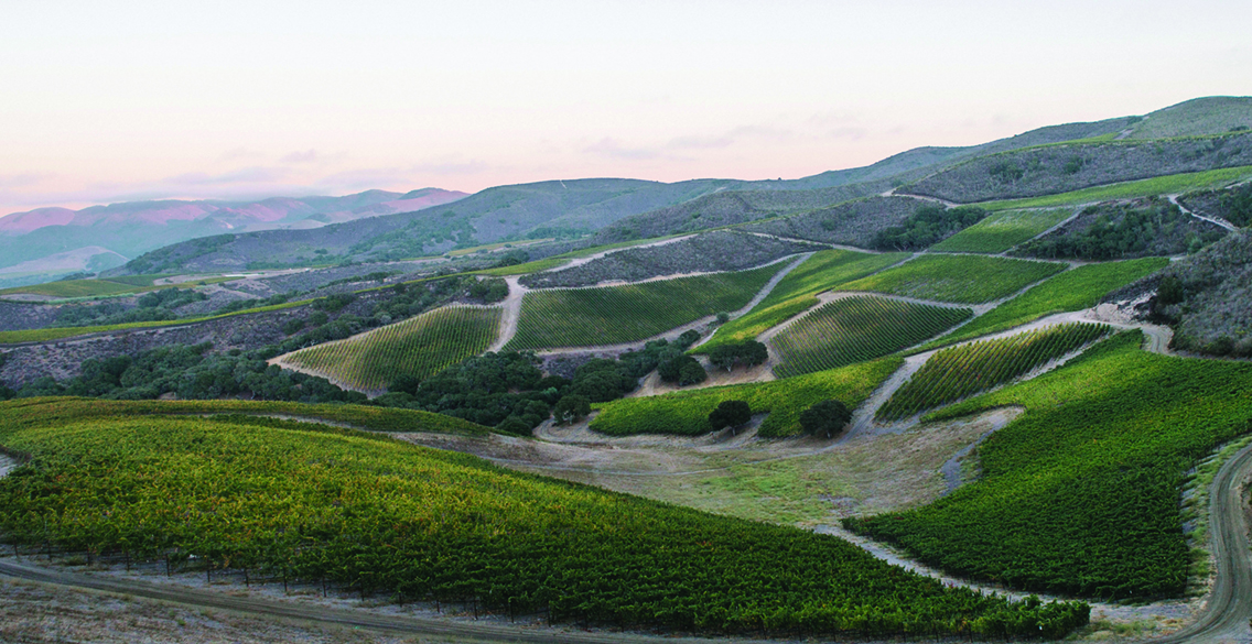 the-hilt-santa-barbara-vineyard-overview.jpg