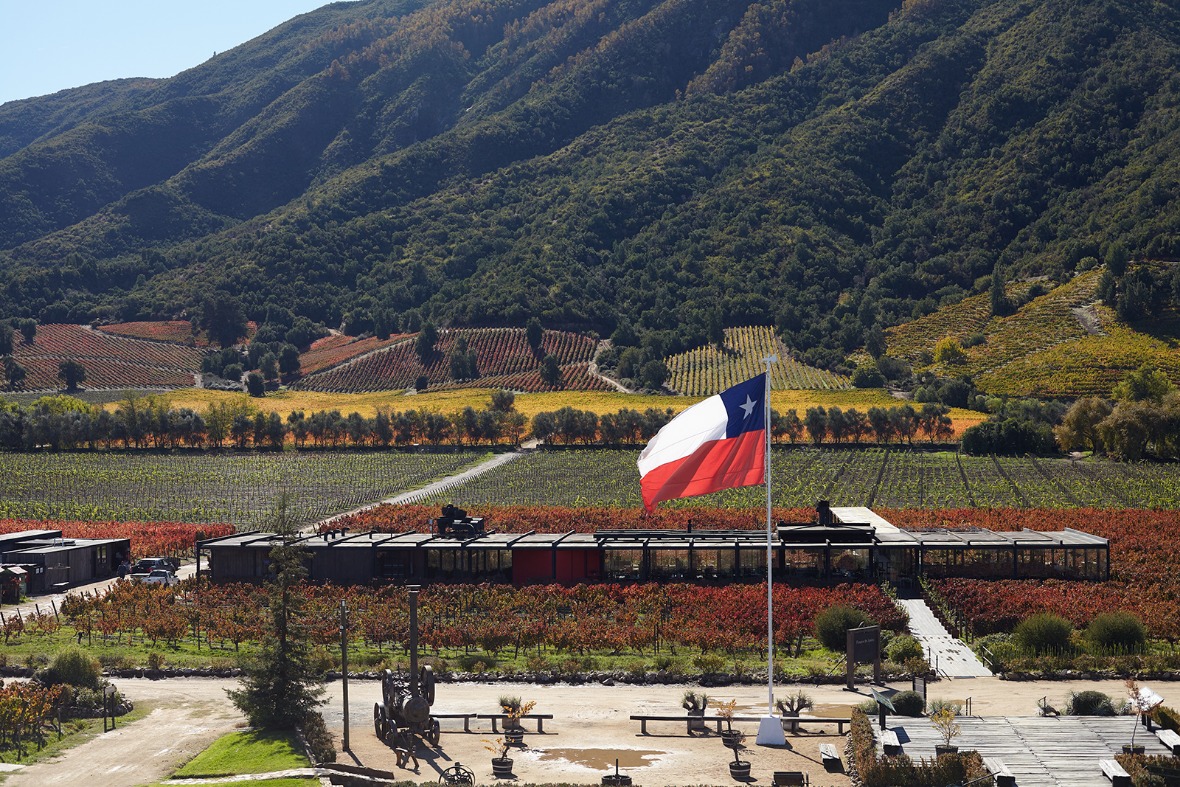 montes-winery-chile-naracellar.jpg