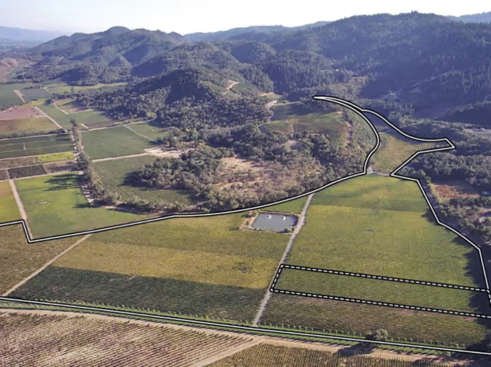 napa-valley-oakville-vineyard-aerial.jpg