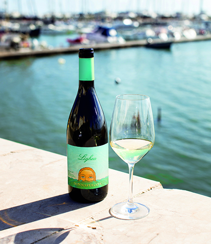 organic-day_donnafugata-lighea.jpg